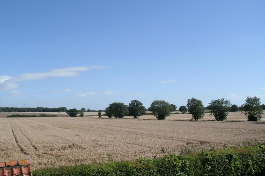 Yaxham Mill Bed and Breakfast Dereham Esterno foto